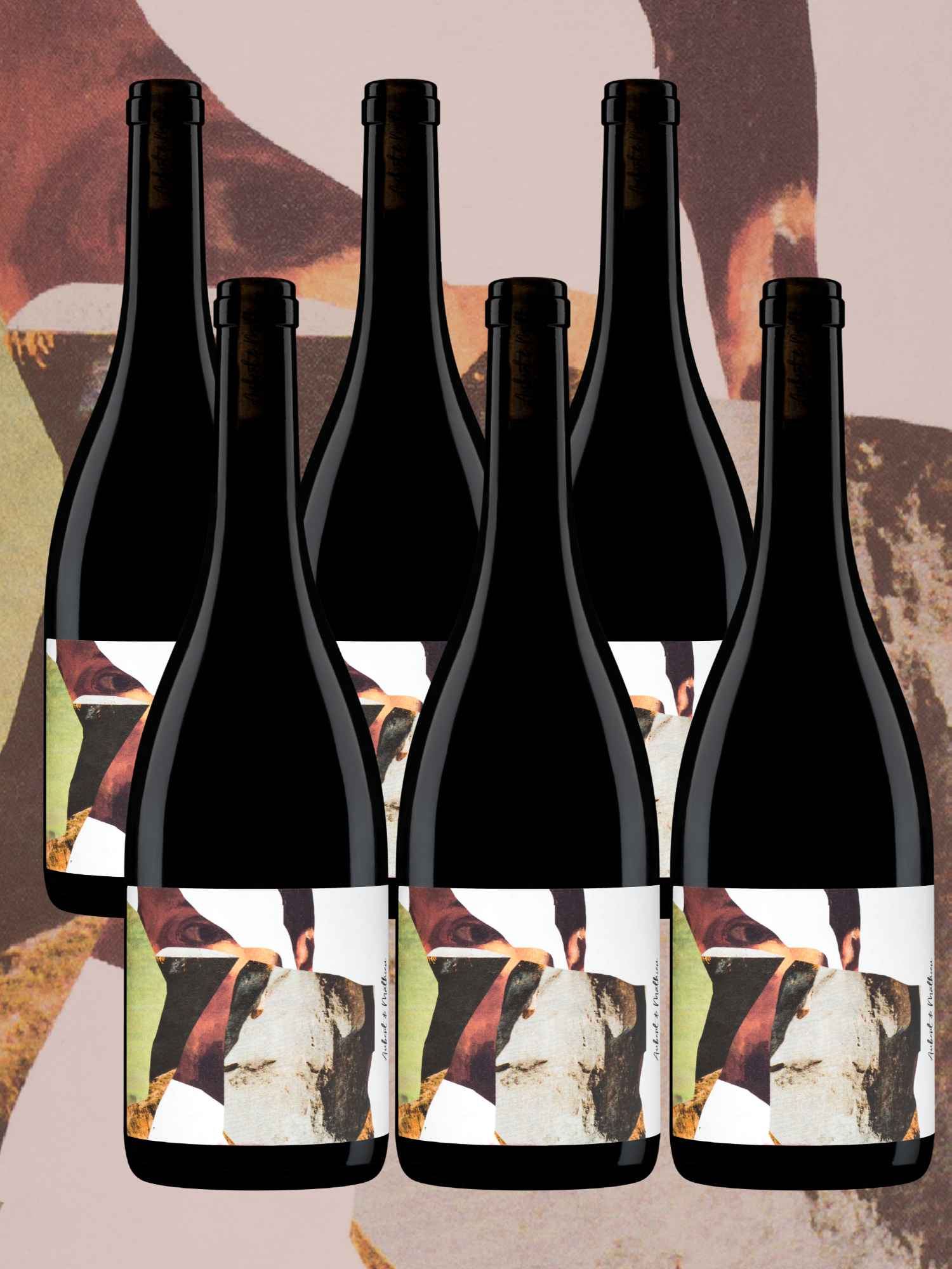 Six bouteilles de vin rouge Gaspard, AOP Terrasses du Larzac, élégant et fondu.