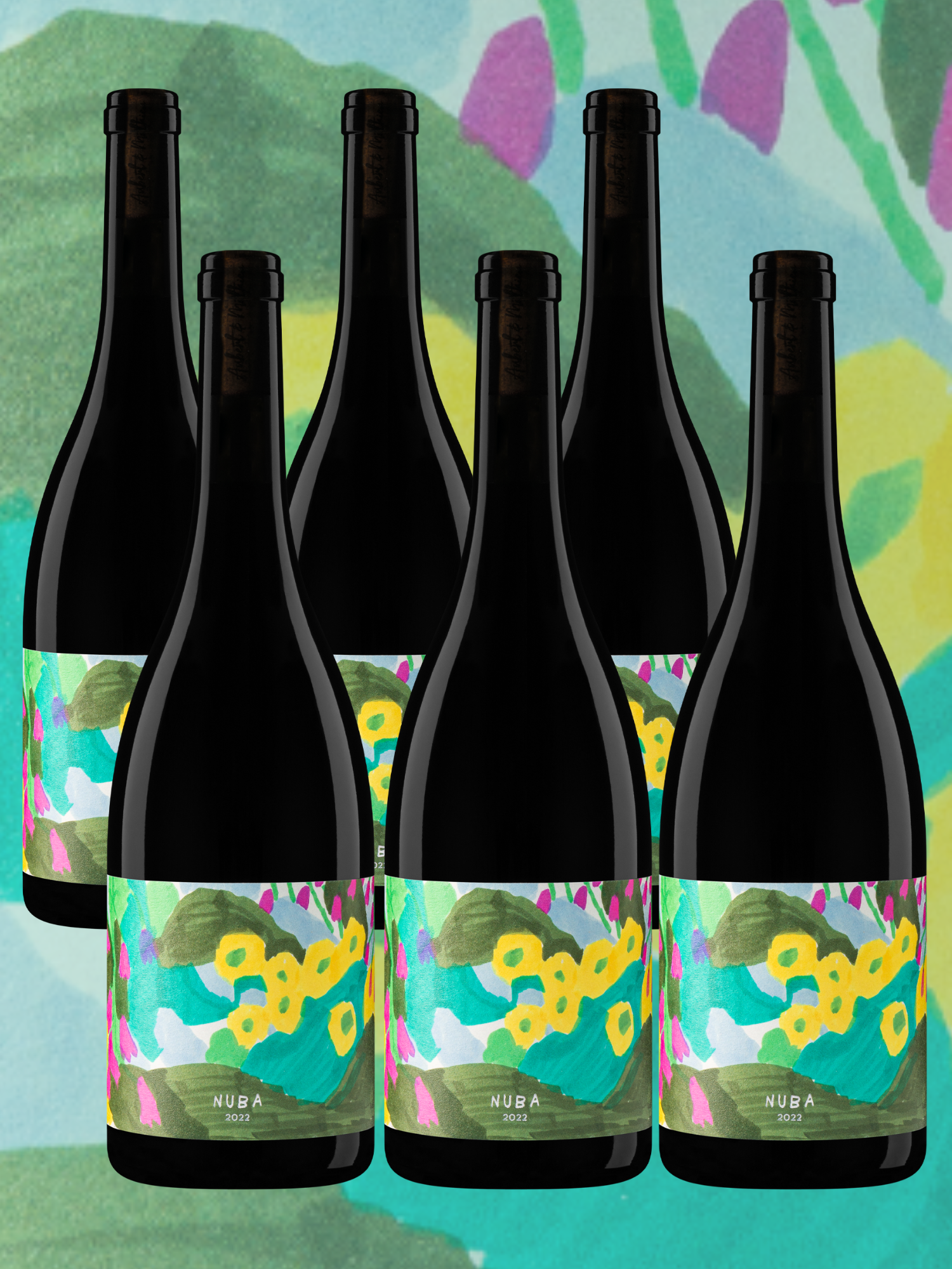 Six bouteilles de vin rouge NUBA, Vin Nature, pur et juteux.