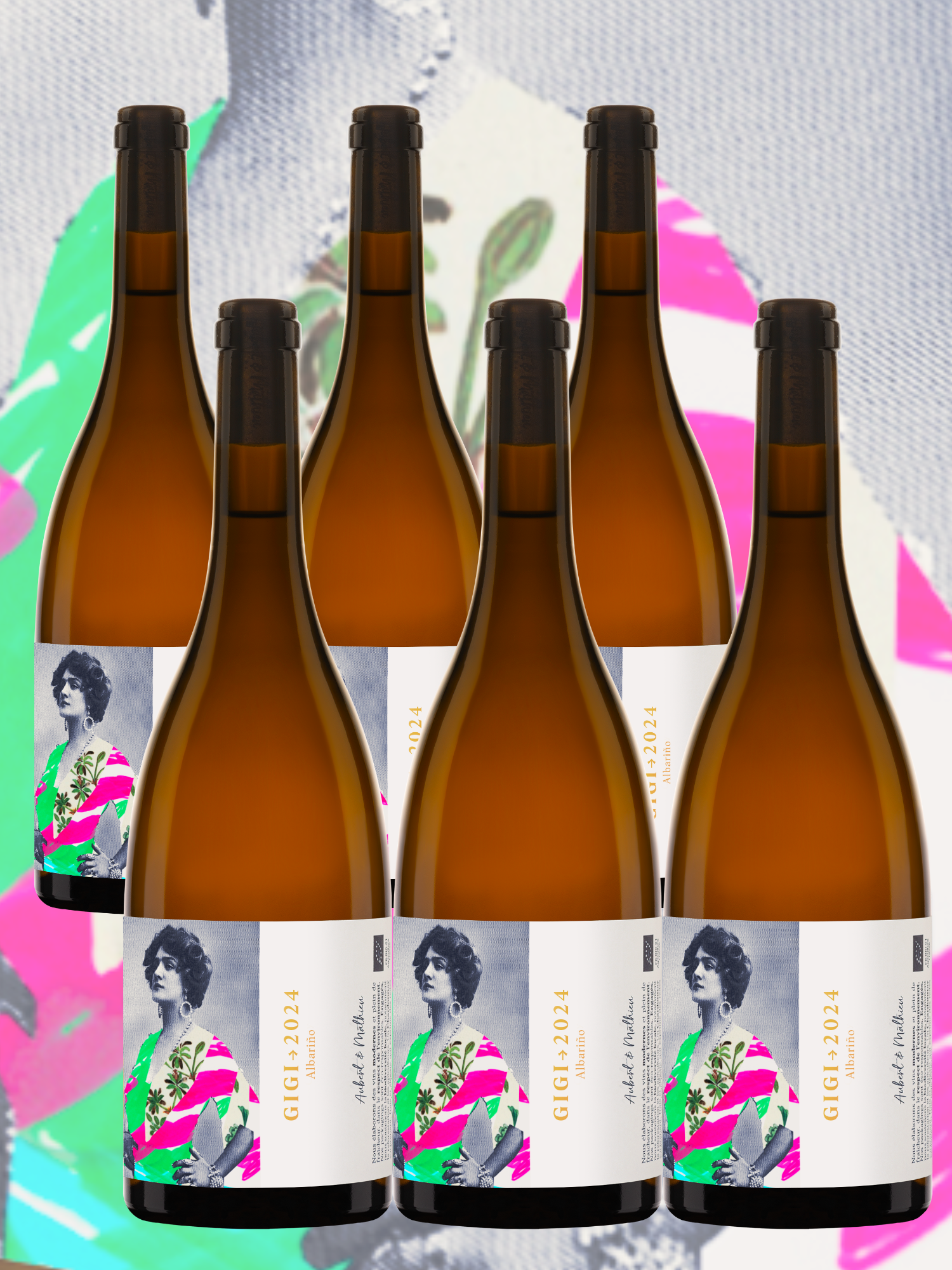 Six bouteilles de vin blanc Albariño Gigi, Vin de France, frais et élégant.