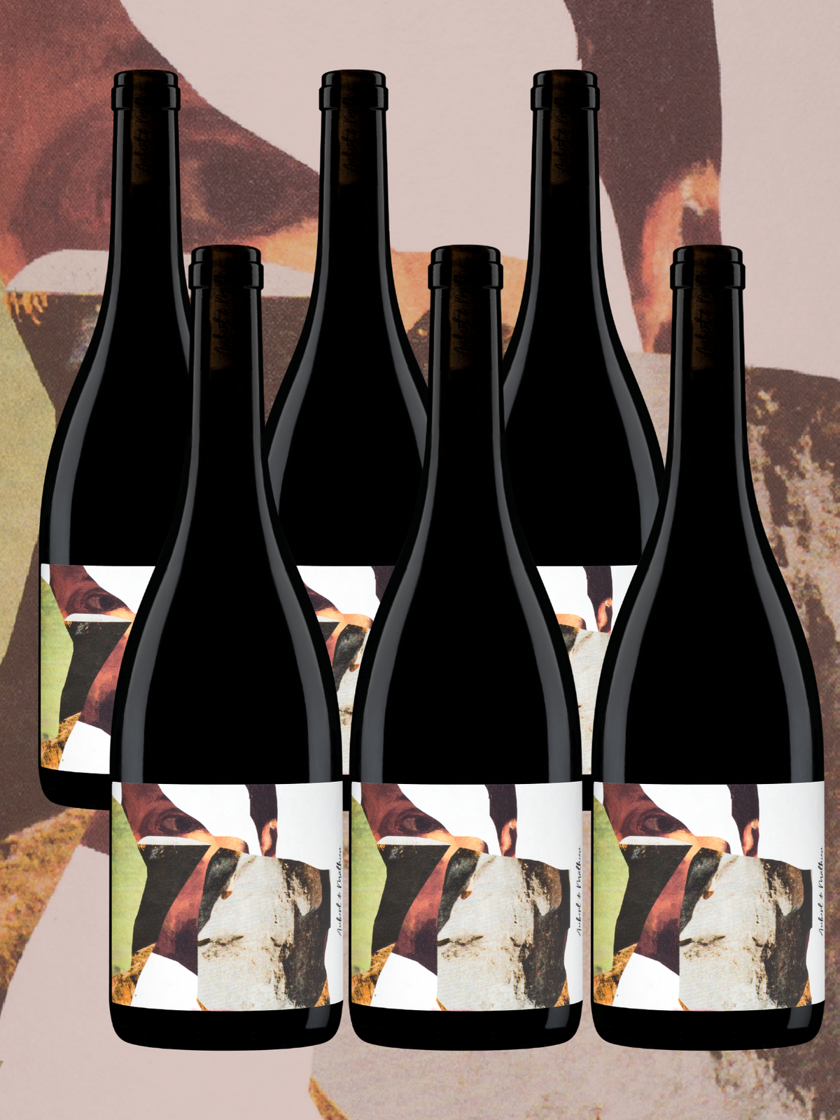Vin rouge AOP Terrasses du Larzac bio 2021 - Gaspard